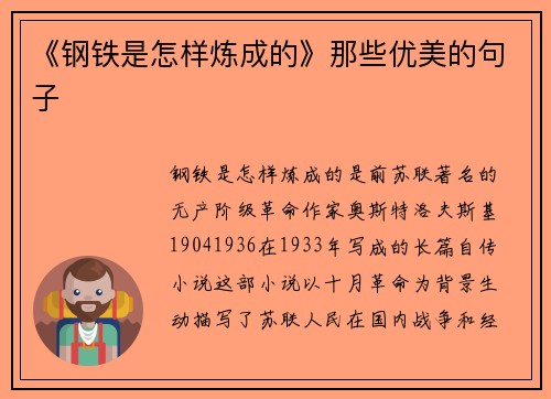 《钢铁是怎样炼成的》那些优美的句子
