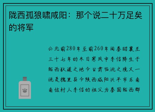 陇西孤狼啸咸阳：那个说二十万足矣的将军